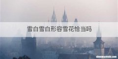 雪白雪白形容雪花恰当吗