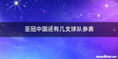 亚冠中国还有几支球队参赛