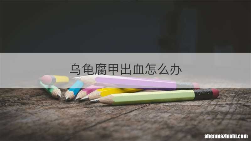 乌龟腐甲出血怎么办