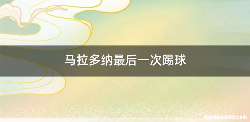 马拉多纳最后一次踢球