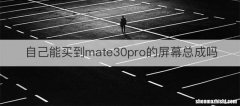 自己能买到mate30pro的屏幕总成吗