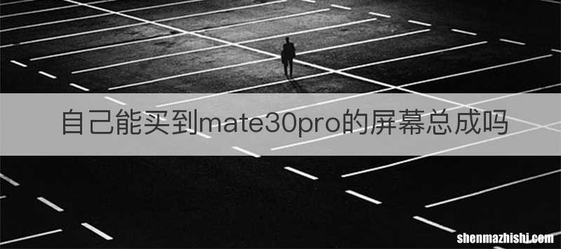 自己能买到mate30pro的屏幕总成吗