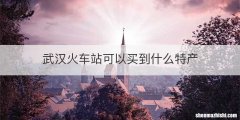 武汉火车站可以买到什么特产