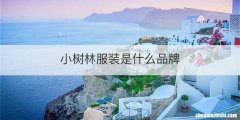 小树林服装是什么品牌