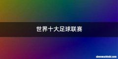 世界十大足球联赛