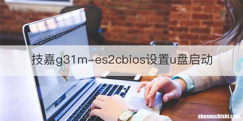 技嘉g31m-es2cbios设置u盘启动