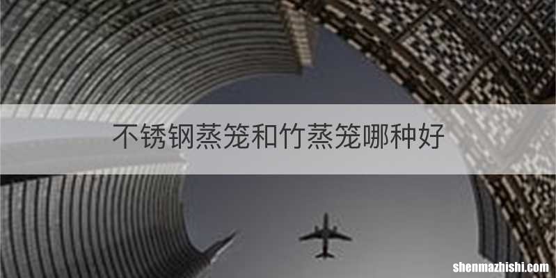 不锈钢蒸笼和竹蒸笼哪种好