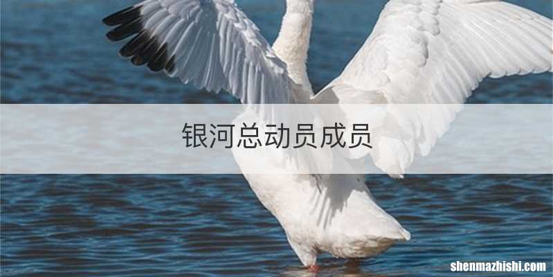 银河总动员成员