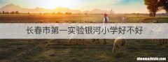 长春市第一实验银河小学好不好
