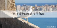 吉祥狮电动车速度只有25