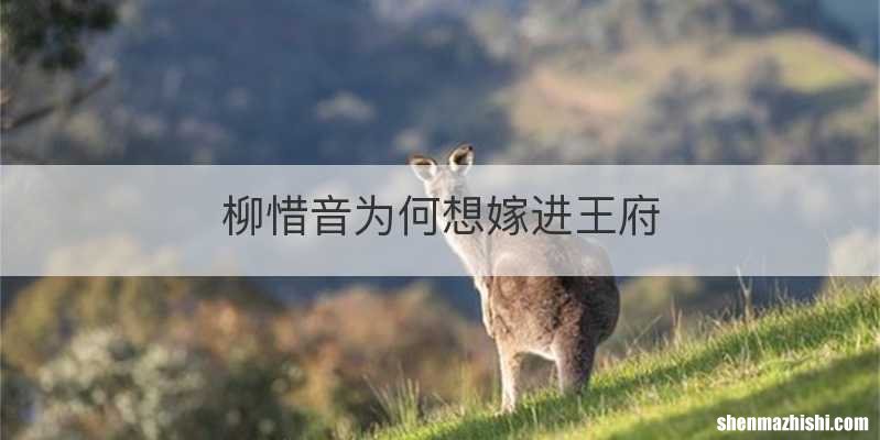 柳惜音为何想嫁进王府