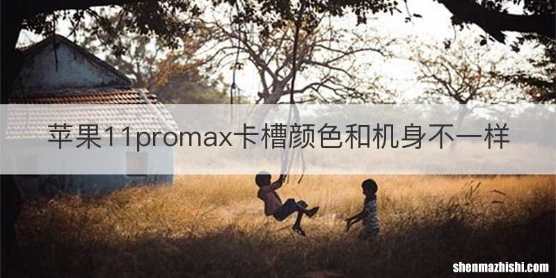 苹果11promax卡槽颜色和机身不一样