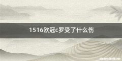 1516欧冠c罗受了什么伤