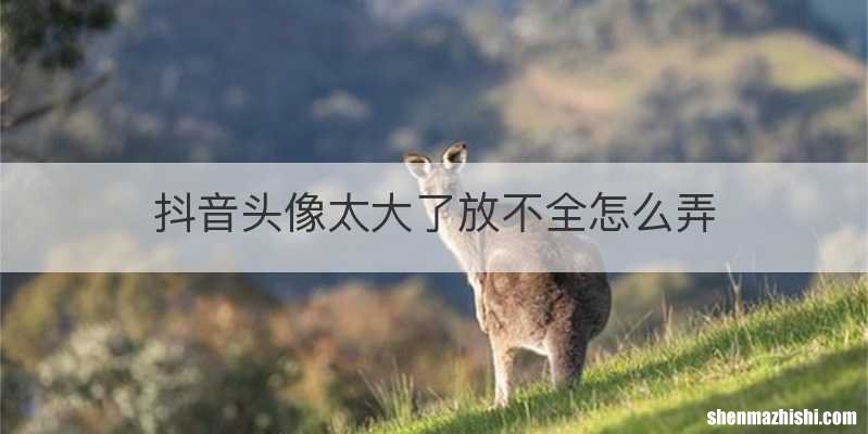 抖音头像太大了放不全怎么弄