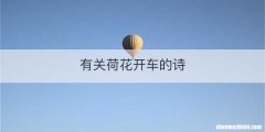 有关荷花开车的诗