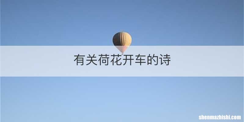 有关荷花开车的诗