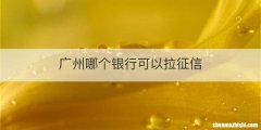 广州哪个银行可以拉征信