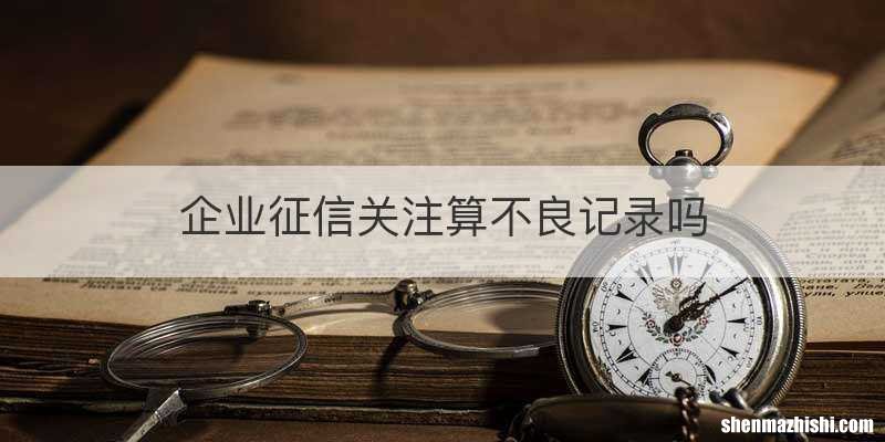 企业征信关注算不良记录吗