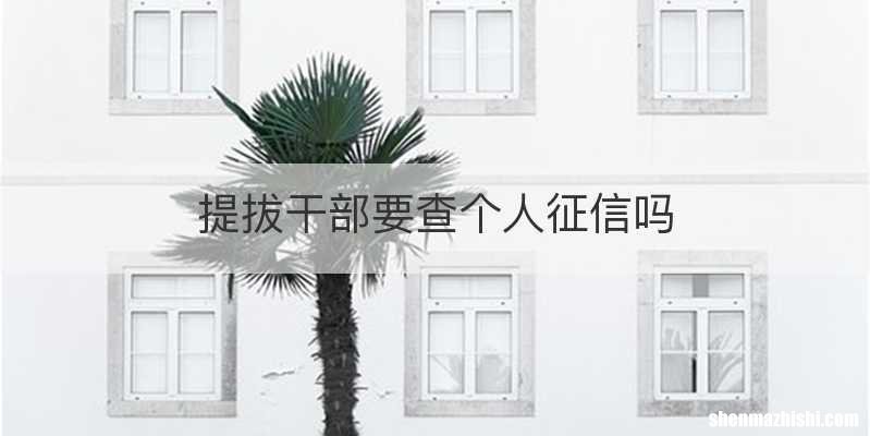 提拔干部要查个人征信吗