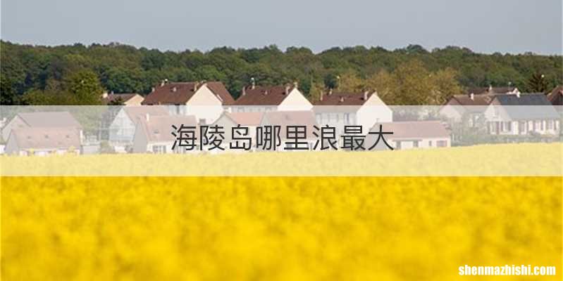 海陵岛哪里浪最大