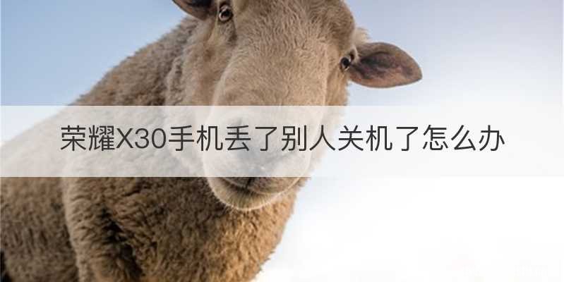 荣耀X30手机丢了别人关机了怎么办