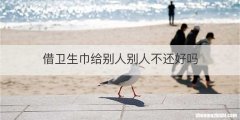 借卫生巾给别人别人不还好吗