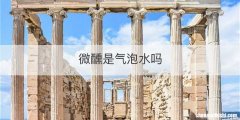 微醺是气泡水吗