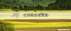 优预期是啥意思