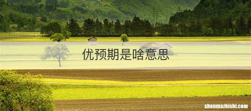 优预期是啥意思