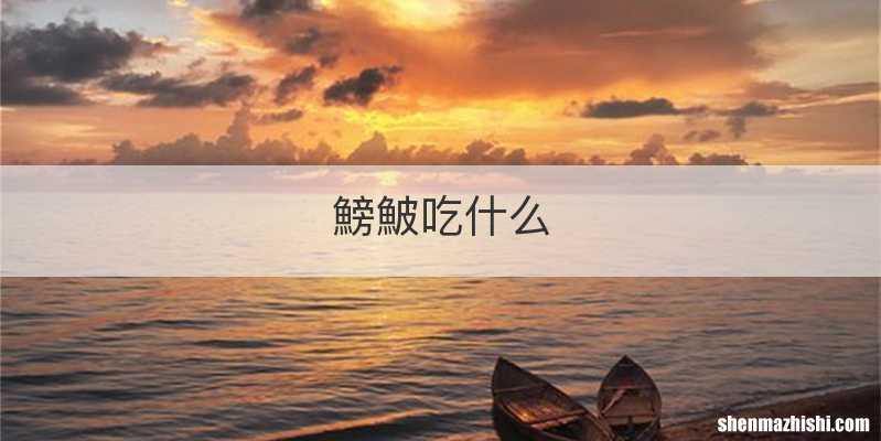 鰟鮍吃什么
