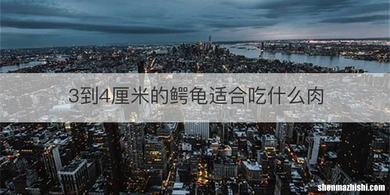 3到4厘米的鳄龟适合吃什么肉