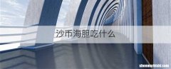 沙币海胆吃什么