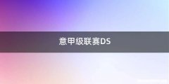意甲级联赛DS