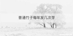 普通竹子每年发几次芽