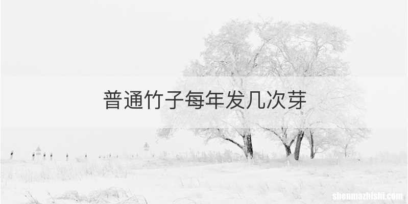 普通竹子每年发几次芽