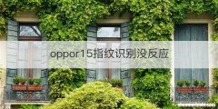 oppor15指纹识别没反应