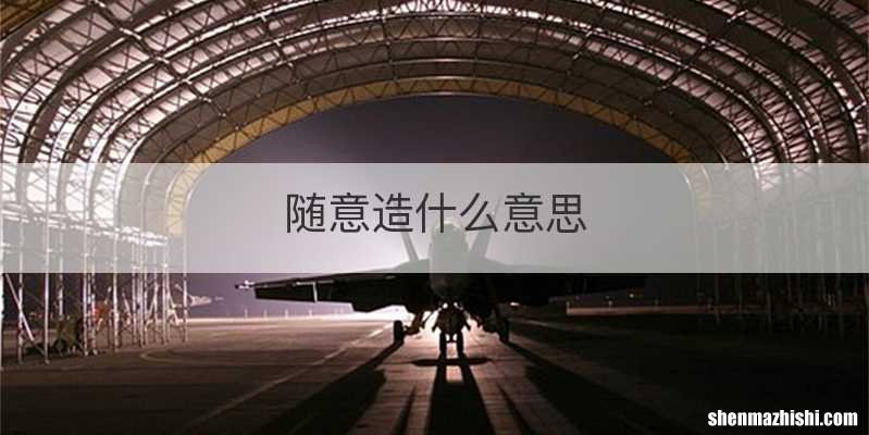 随意造什么意思