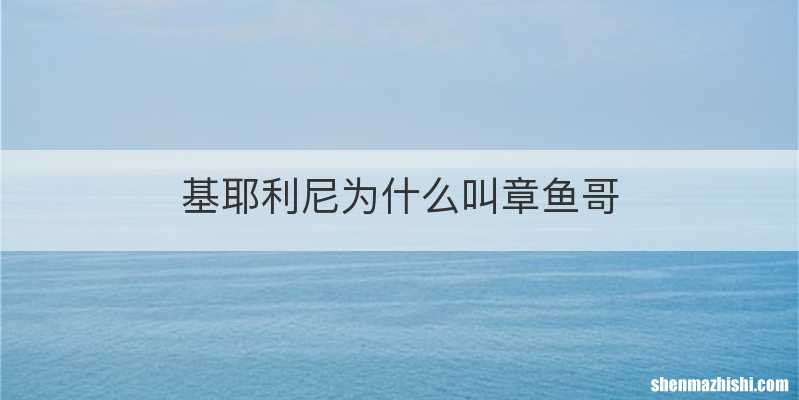 基耶利尼为什么叫章鱼哥