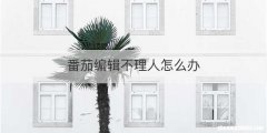 番茄编辑不理人怎么办