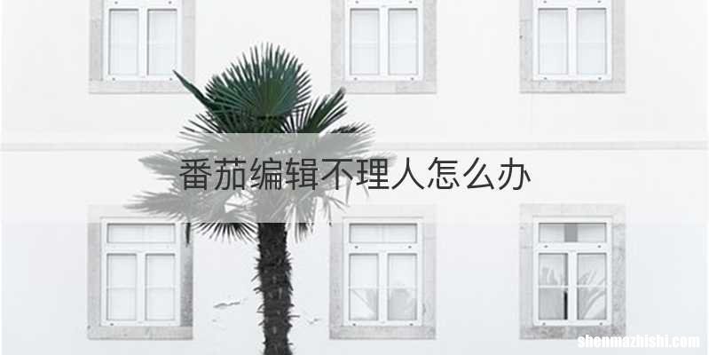 番茄编辑不理人怎么办
