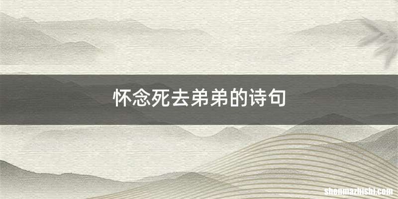 怀念死去弟弟的诗句