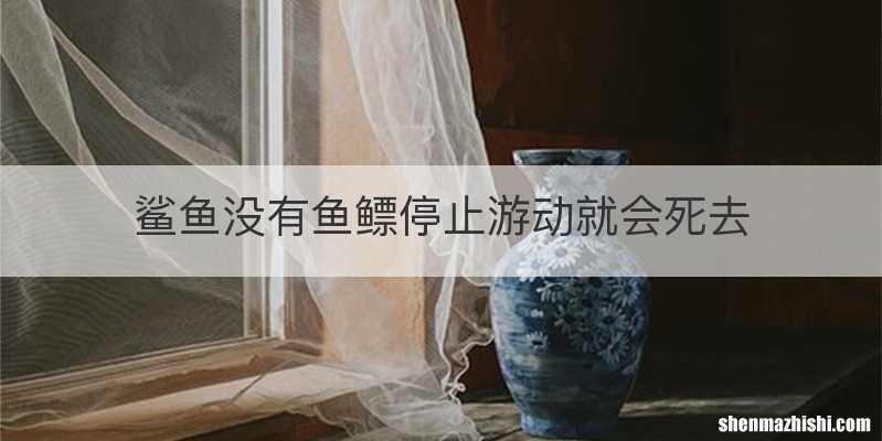 鲨鱼没有鱼鳔停止游动就会死去