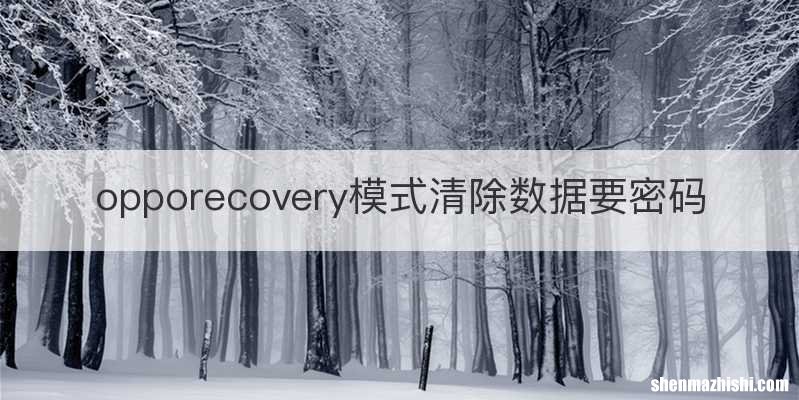 opporecovery模式清除数据要密码