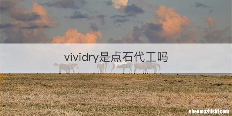 vividry是点石代工吗