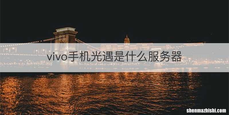 vivo手机光遇是什么服务器