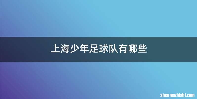 上海少年足球队有哪些