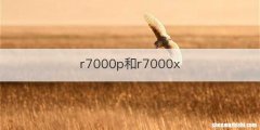 r7000p和r7000x