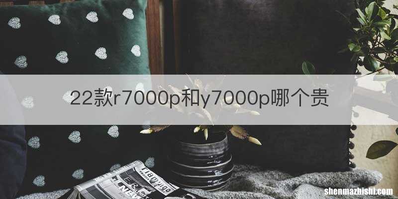 22款r7000p和y7000p哪个贵