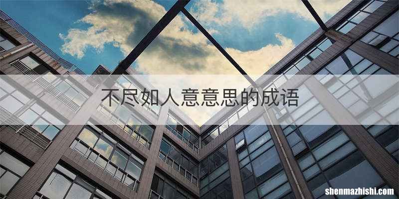 不尽如人意意思的成语