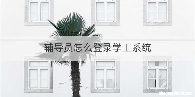 辅导员怎么登录学工系统